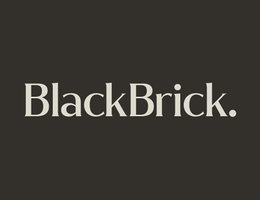 Black Brick Property L.L.C